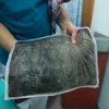 Участь у Міжнародному семінарі «Сучасна медико-психологічна реабілітація працівників медичної галузі»